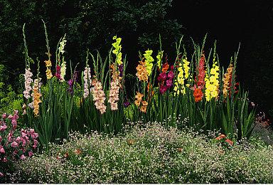 《燕云十六声》玩家数突破3000万 官方送谢礼感谢玩家